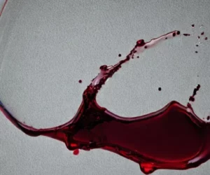 Sofa Test Online Rotwein aus Sofa entfernen Anleitung
