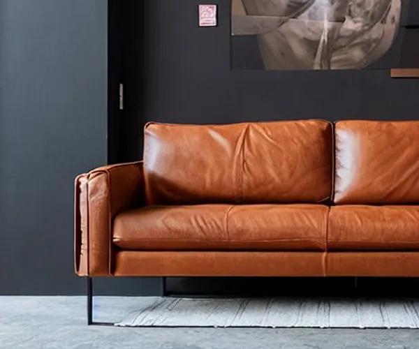 Sofa Test Online Pigmentiertes Leder Sofabezug